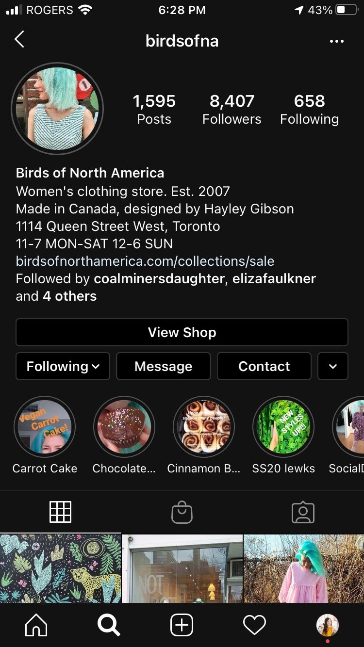 Page de profil d'entreprise Instagram Birds of North American