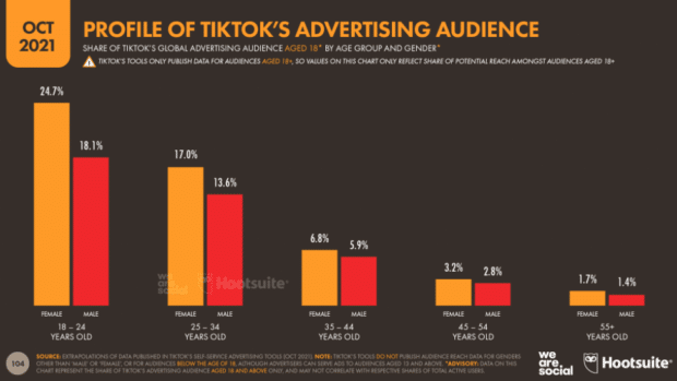 profil de l'audience publicitaire de TikTok