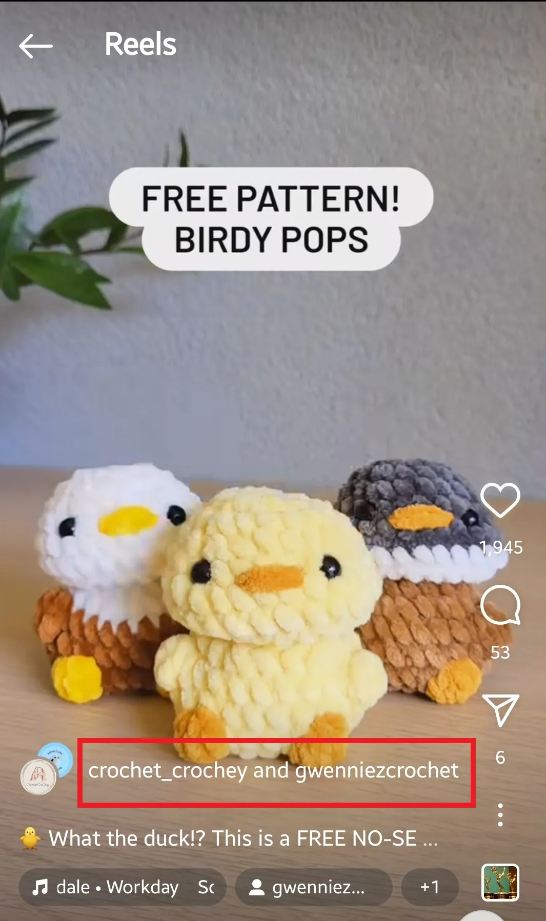 modèle gratuit birdy pops